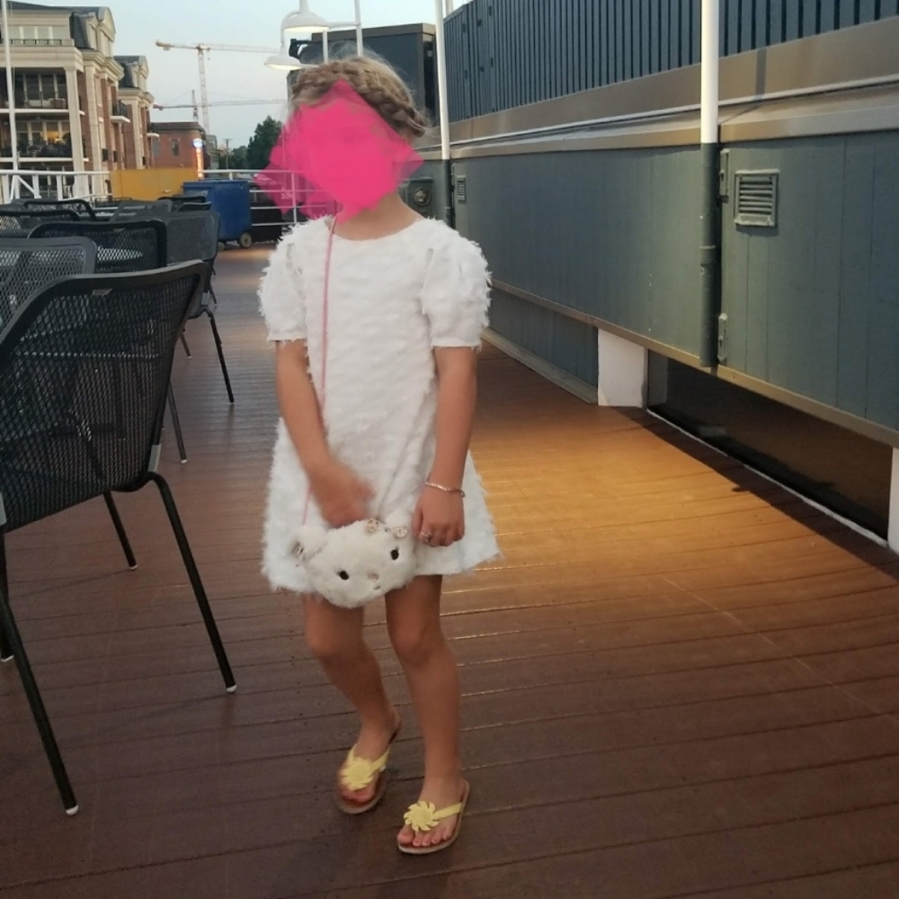 Zara shift dress